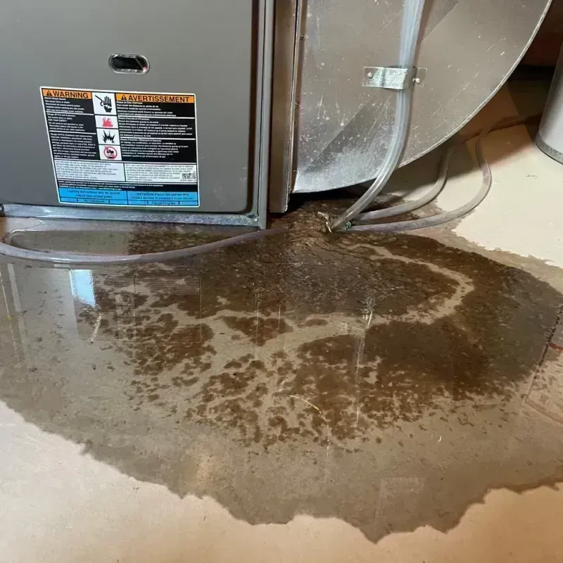 Appliance Leak Cleanup in Seymour, MO